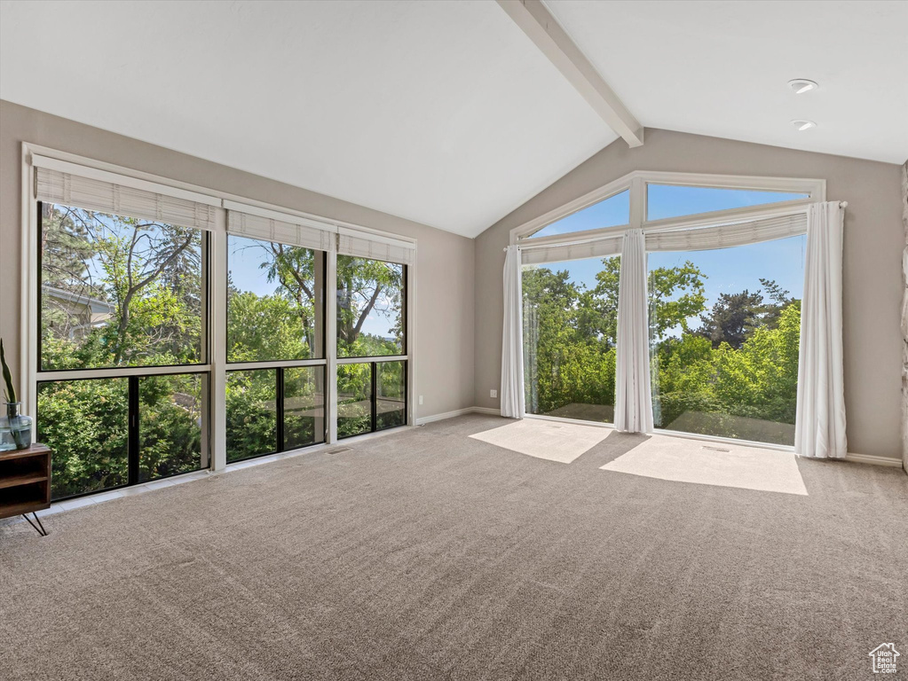 Unfurnished living room with carpet flooring and healthy amount of natural light