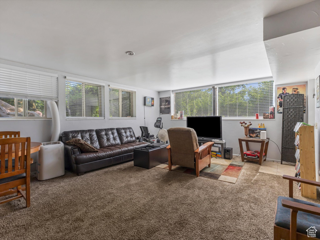 Living room featuring carpet and healthy amount of natural light