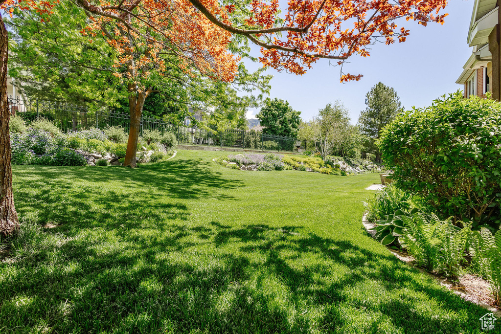 View of green lawn
