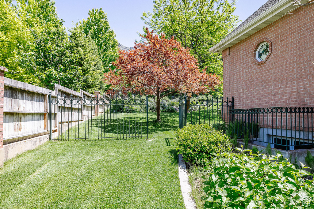 View of yard