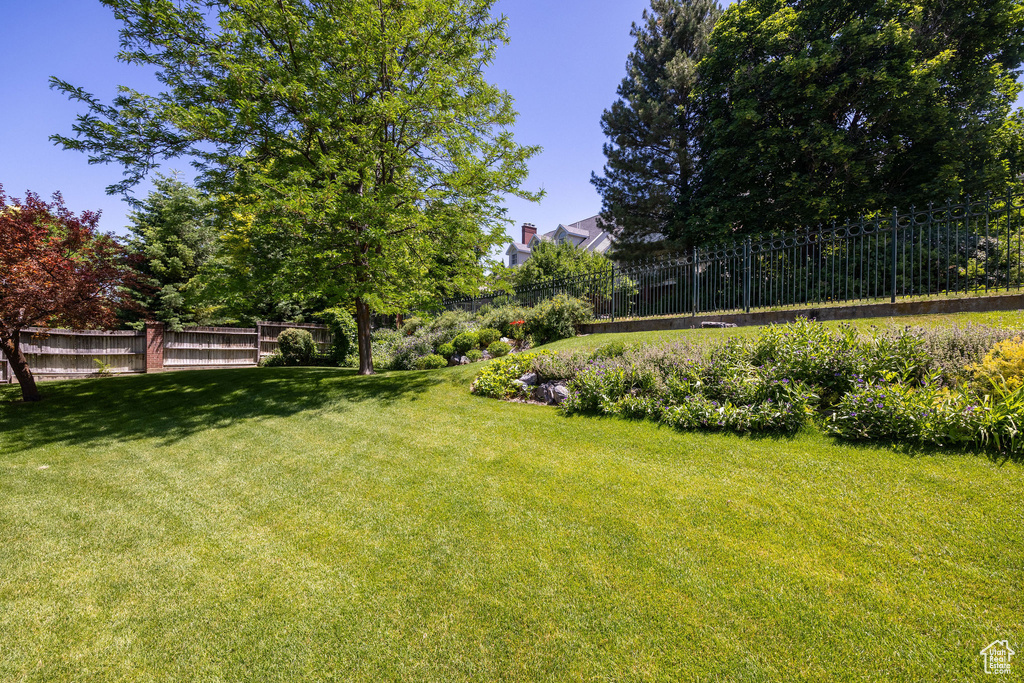 View of fenced backyard