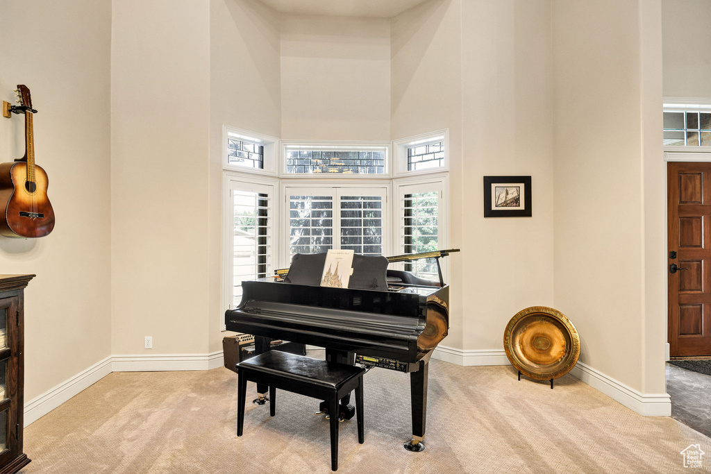 Living area featuring carpet and a high ceiling