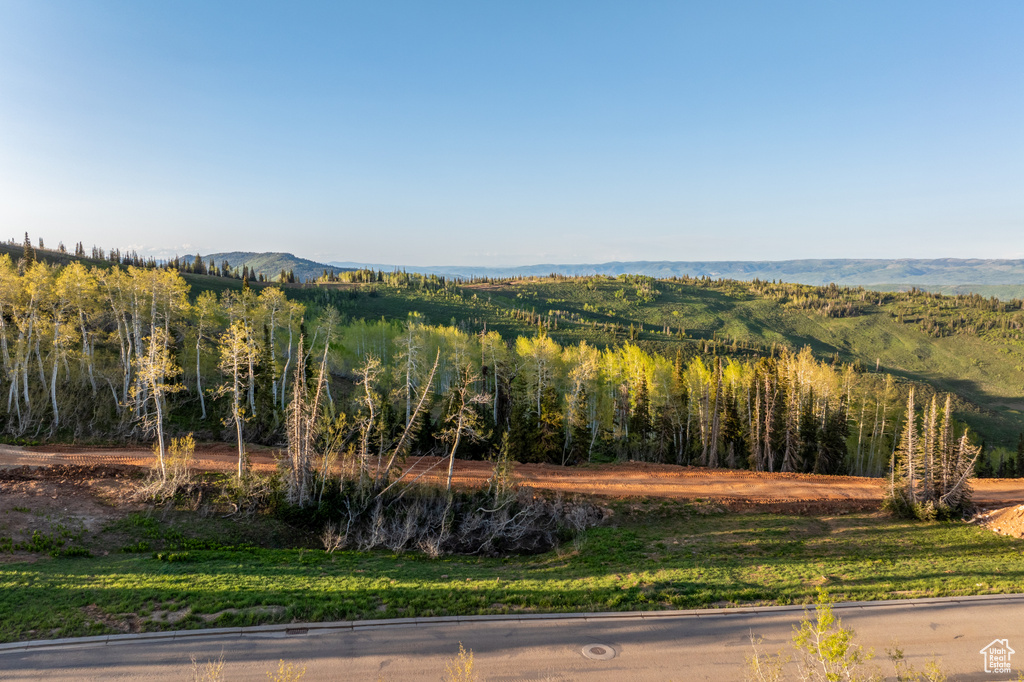 View of mountain backdrop with a forest