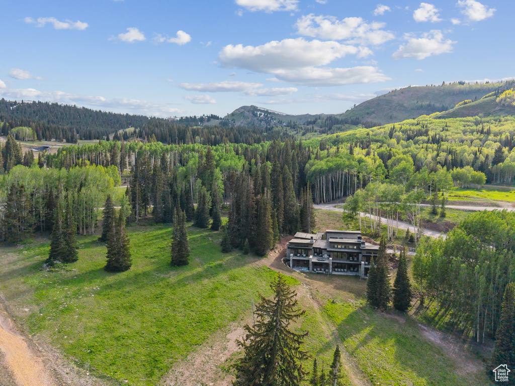 Mountain view featuring a forest