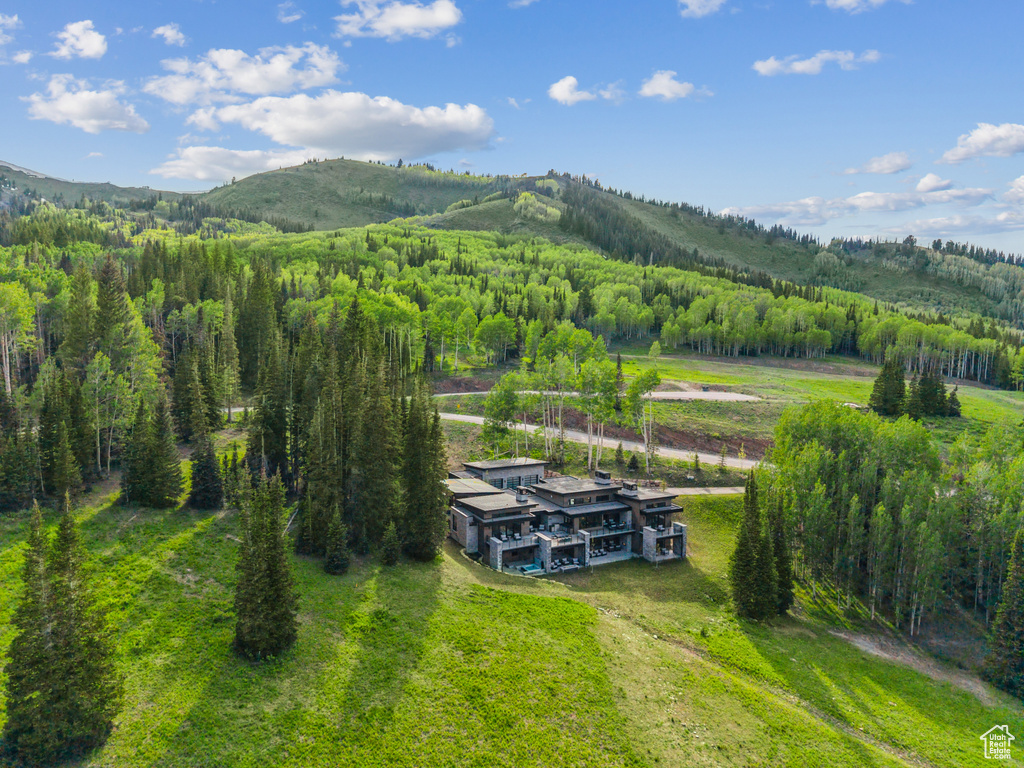 View from above of property with a heavily wooded area and a mountainous background