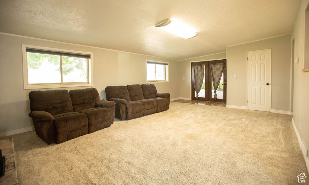Living area featuring a textured ceiling, carpet flooring, and crown molding