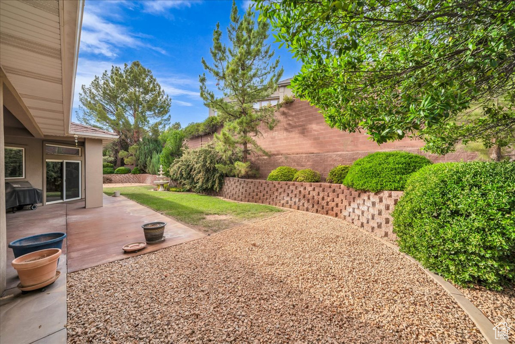 View of yard with a patio