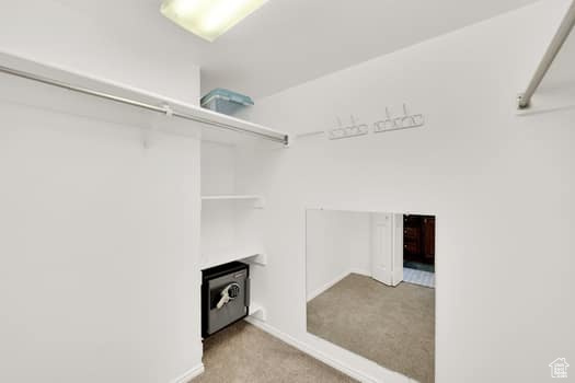 Spacious closet featuring carpet floors