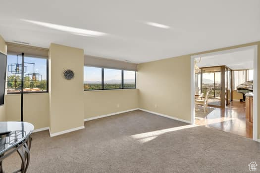 Unfurnished room featuring carpet floors