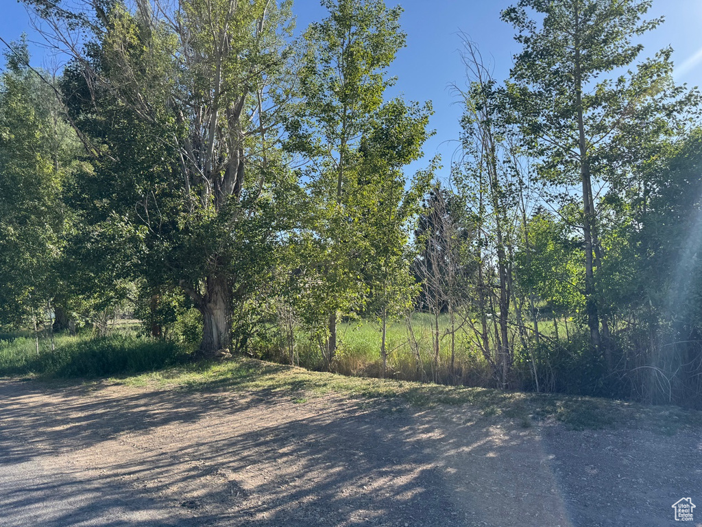 View of road