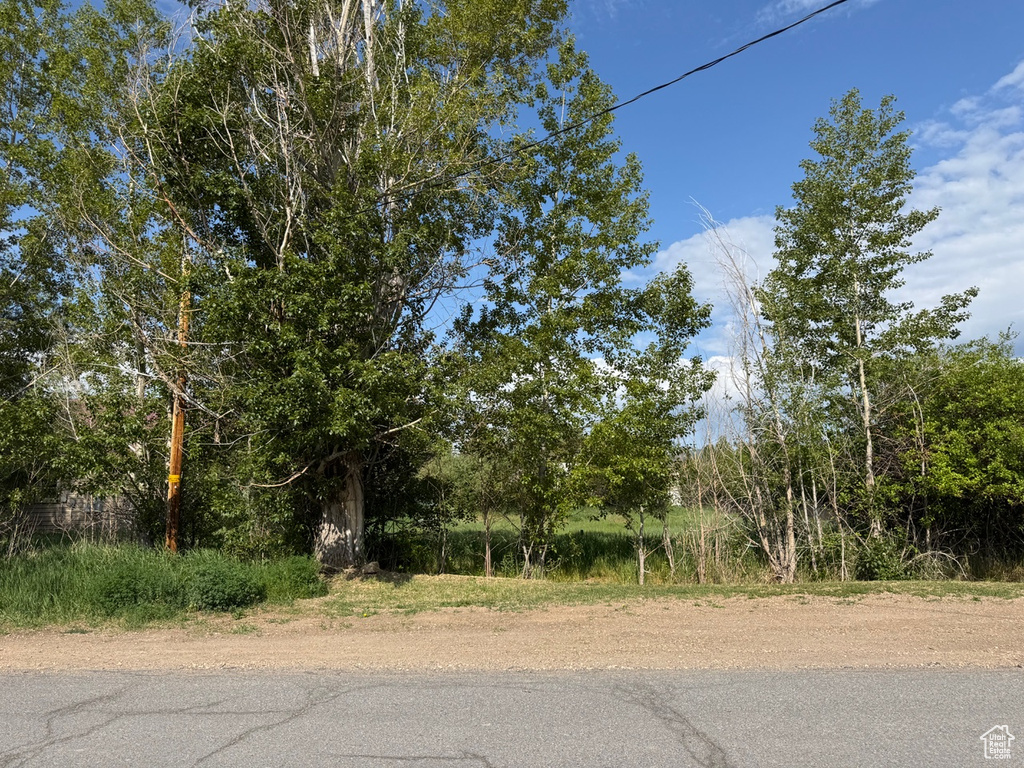 View of street