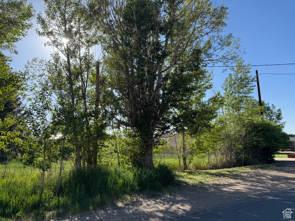 View of asphalt street