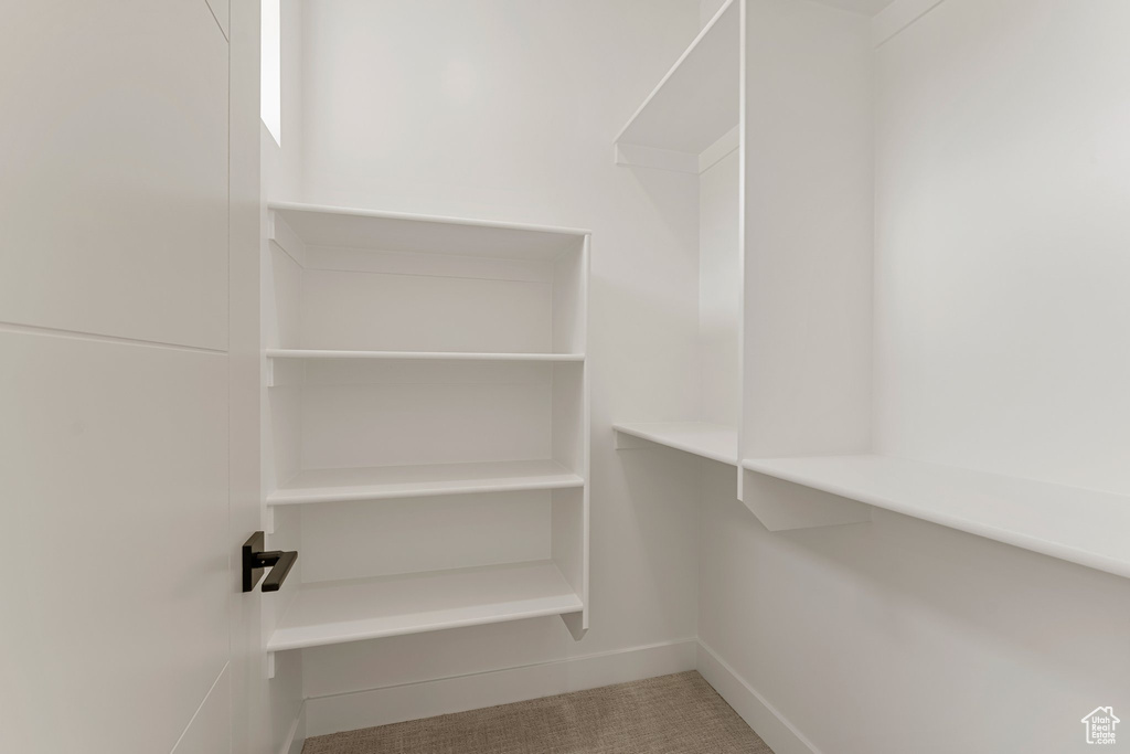 Walk in closet featuring carpet floors