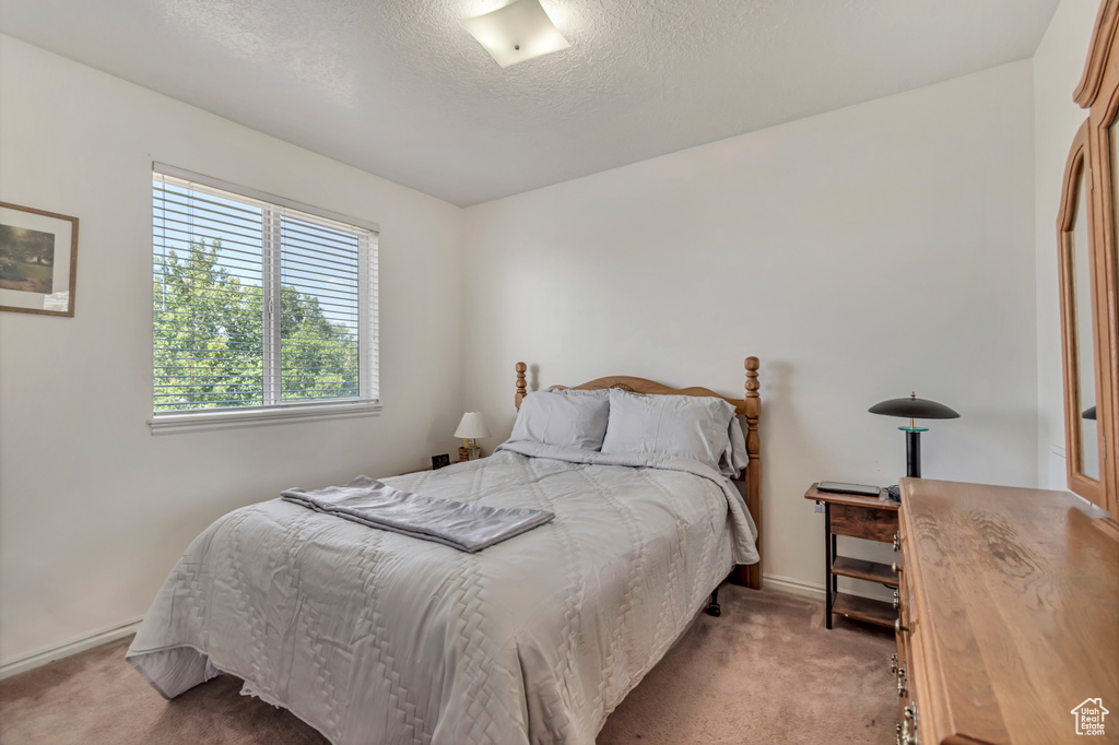 Bedroom featuring light colored carpet and a textured ceiling