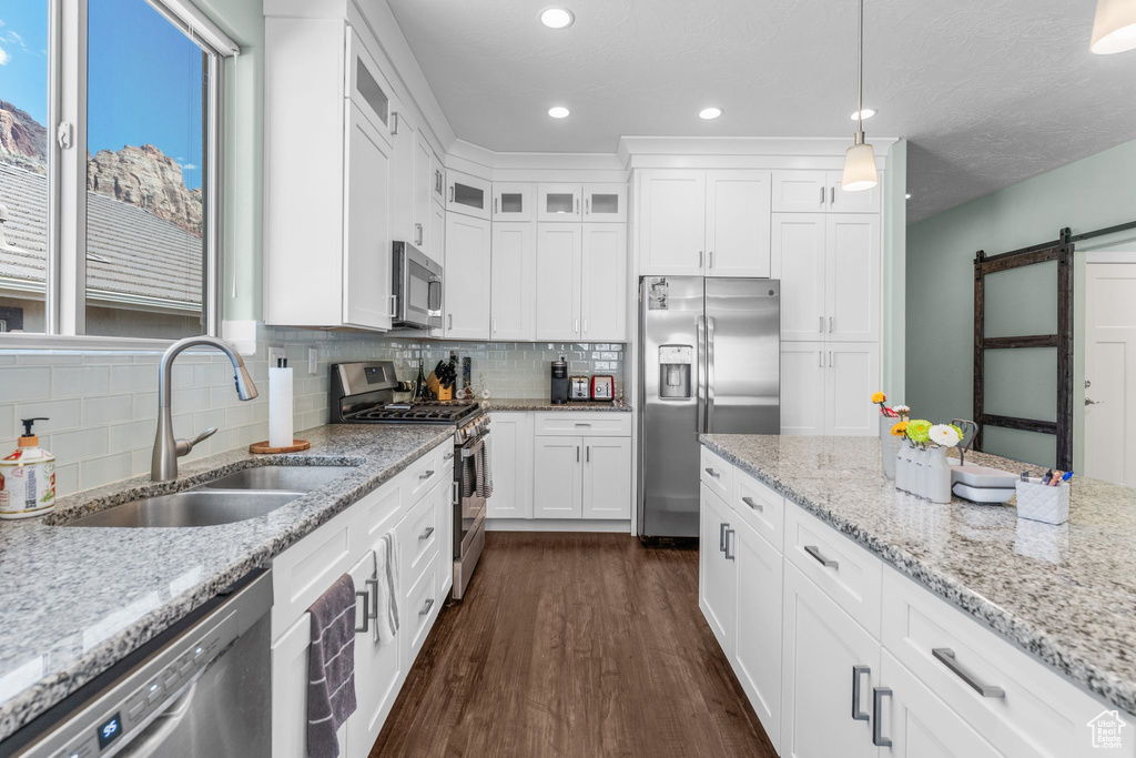 Kitchen with appliances with stainless steel finishes, a barn door, dark wood-style floors, decorative backsplash, and white cabinetry