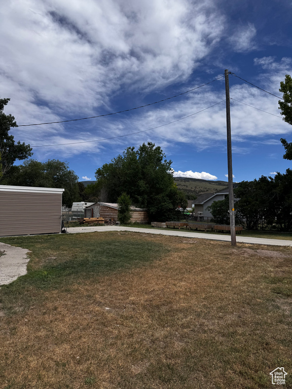 View of green lawn