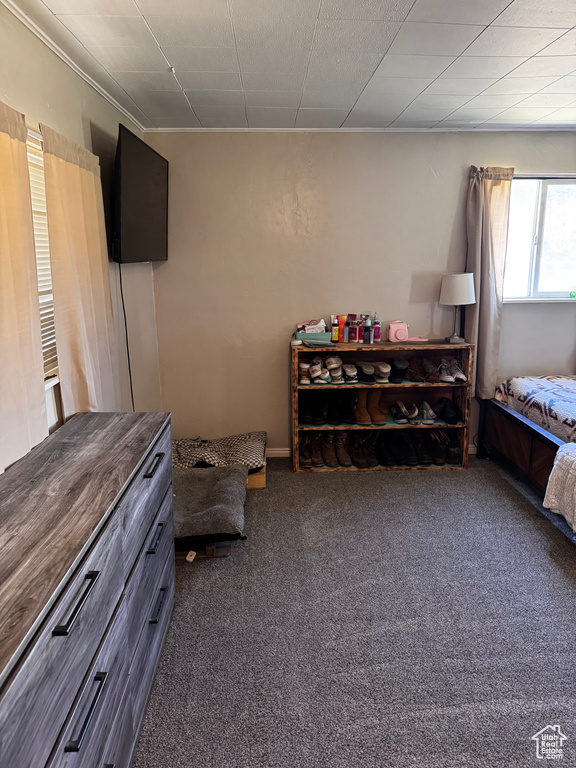 Bedroom with dark colored carpet