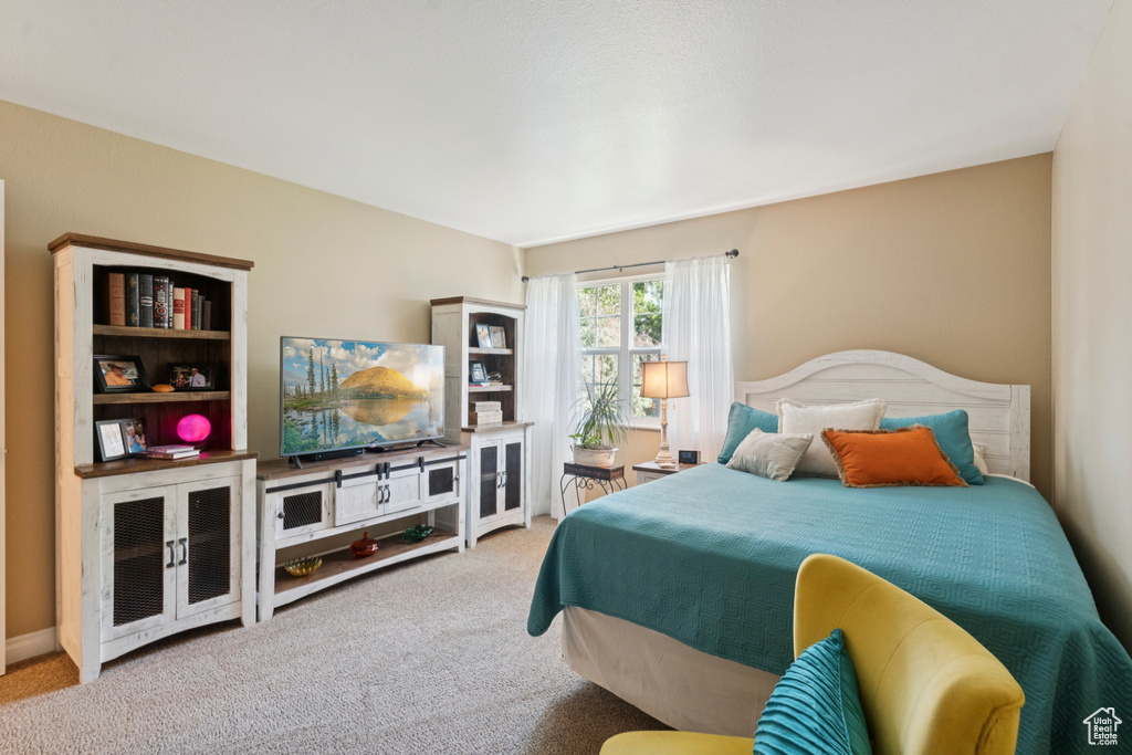 Bedroom with carpet
