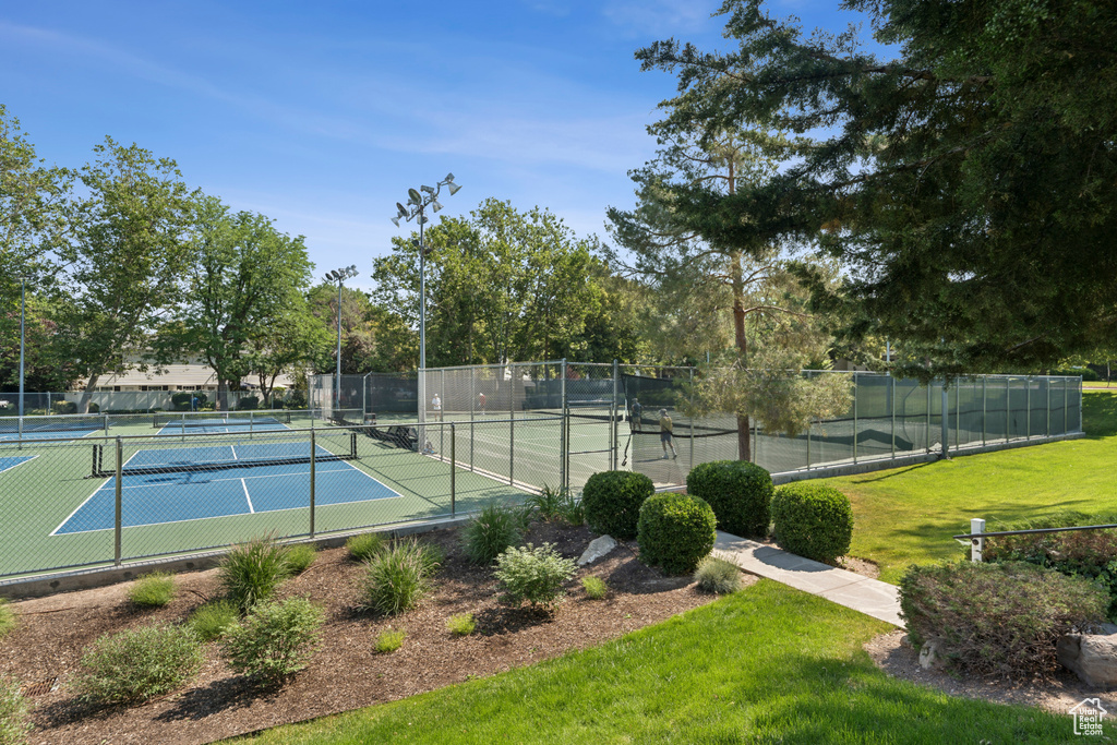 View of tennis court