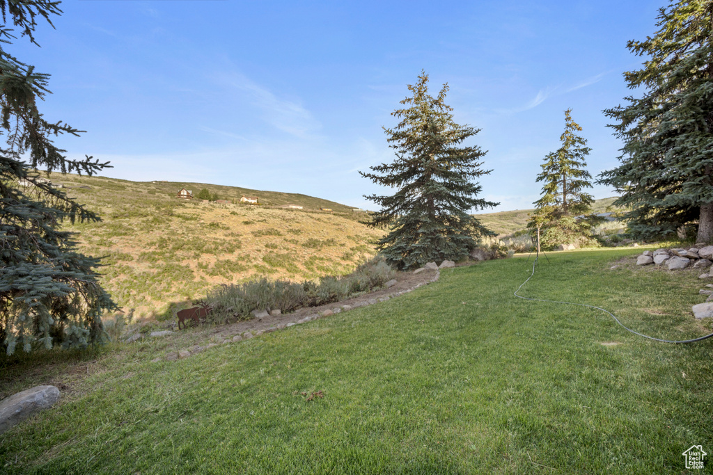 View of grassy yard