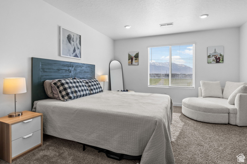 Bedroom with dark carpet