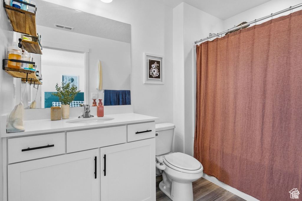 Full bathroom featuring wood finished floors, vanity, and a shower with shower curtain