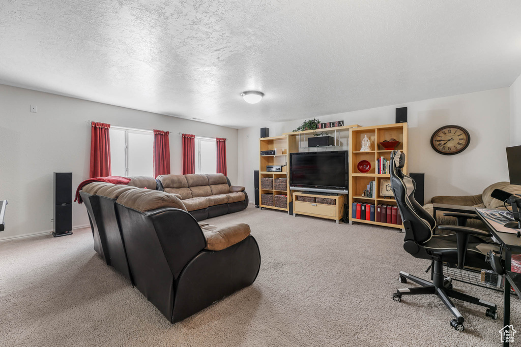 Carpeted living room featuring a textured ceiling