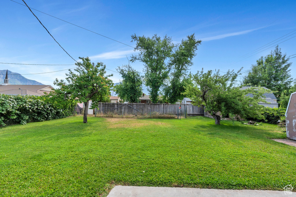 View of yard