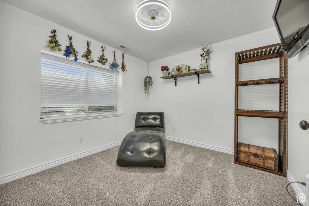 Living area with carpet and a textured ceiling
