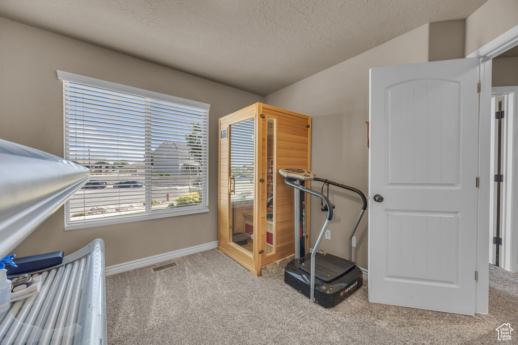 Exercise room featuring a textured ceiling, carpet, and lofted ceiling