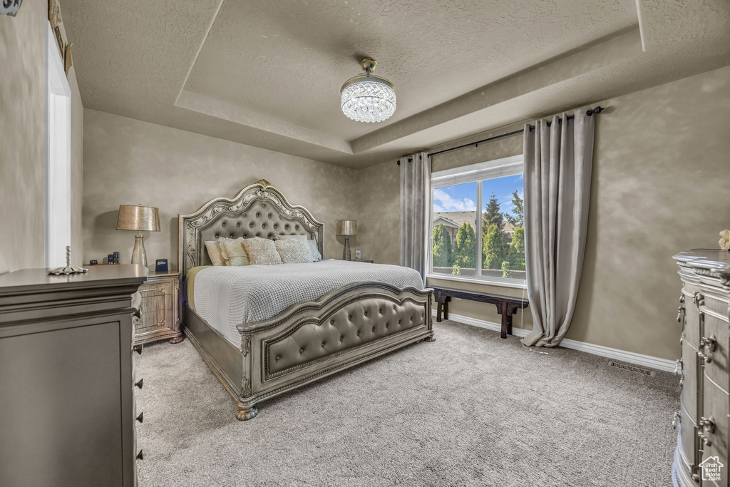 Bedroom featuring a textured ceiling, light carpet, and a raised ceiling