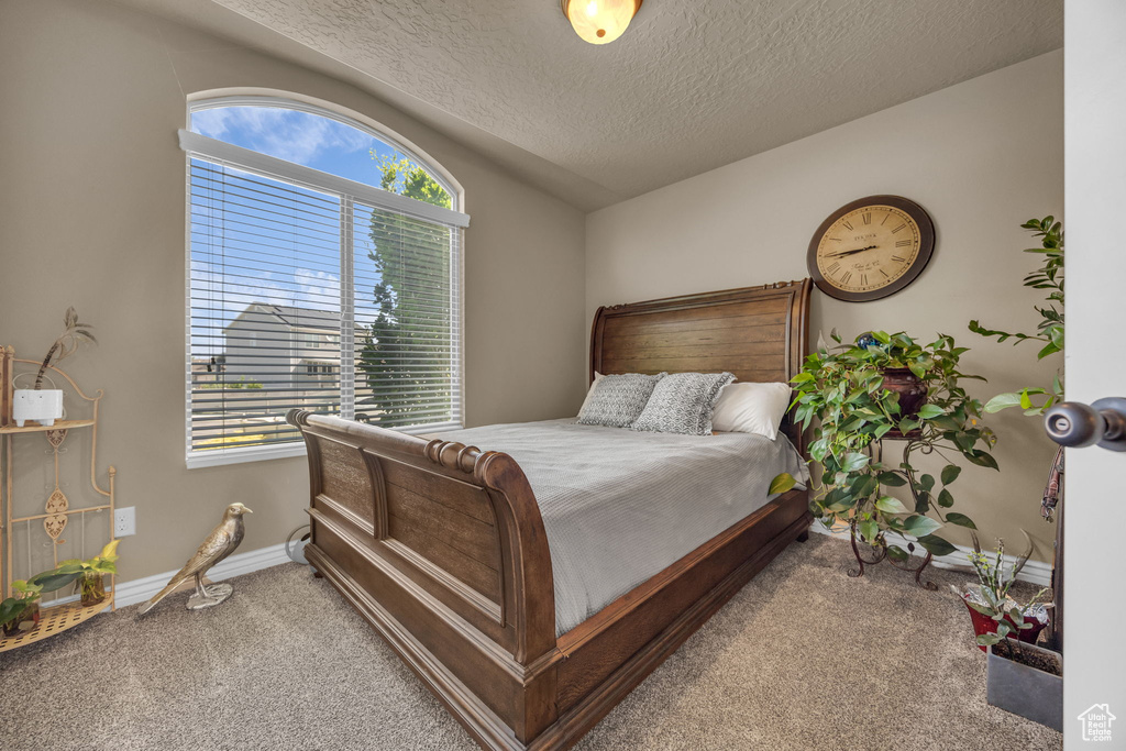 Carpeted bedroom with multiple windows, a textured ceiling, and lofted ceiling