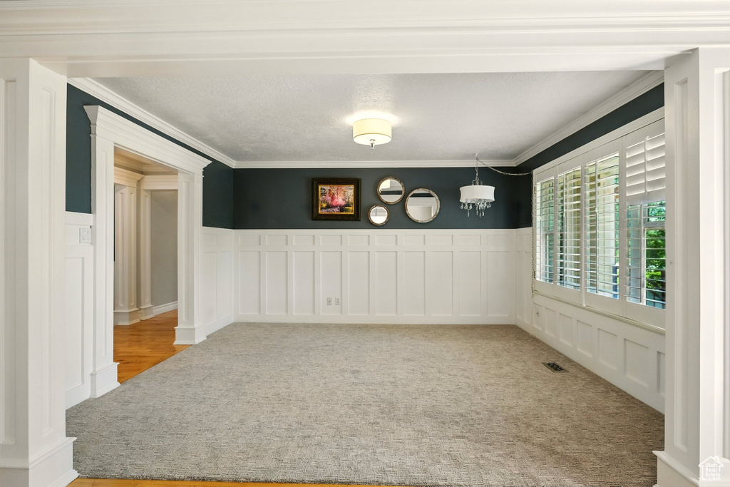 Carpeted empty room featuring ornamental molding, wainscoting, and a decorative wall