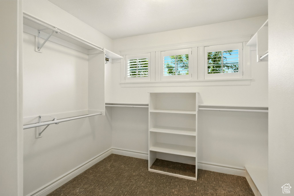 Walk in closet with carpet floors