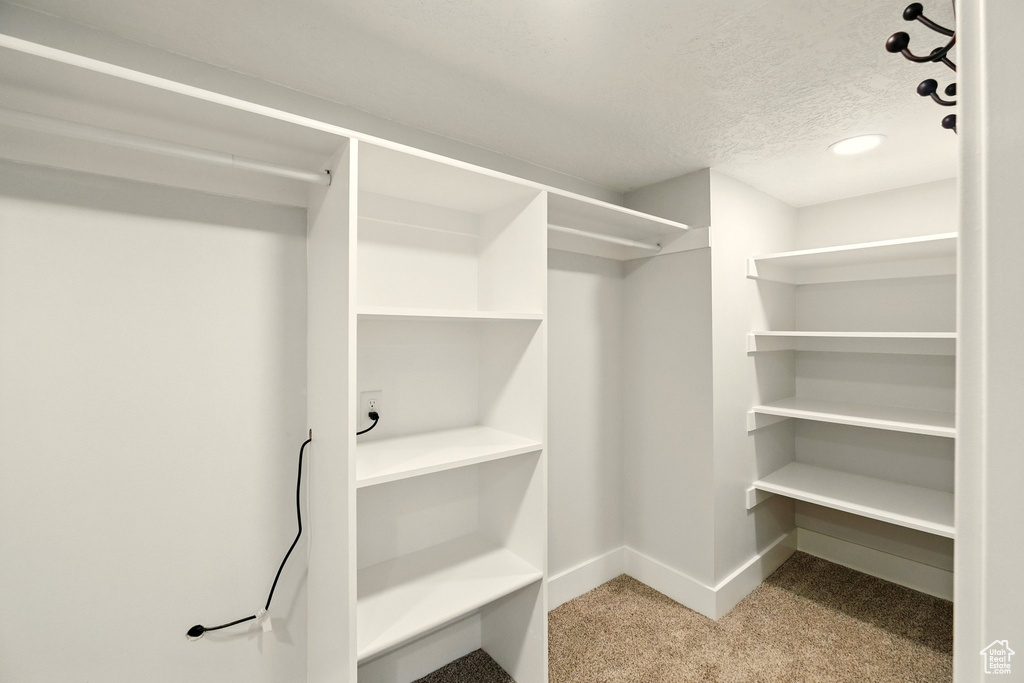 Walk in closet with carpet floors