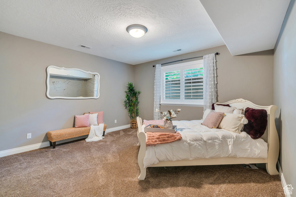 Carpeted bedroom with a textured ceiling