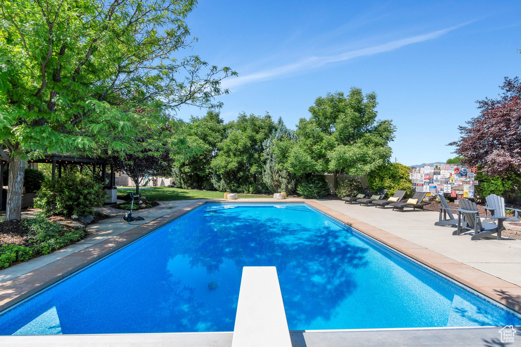 Swimming pool featuring a diving board and a patio area