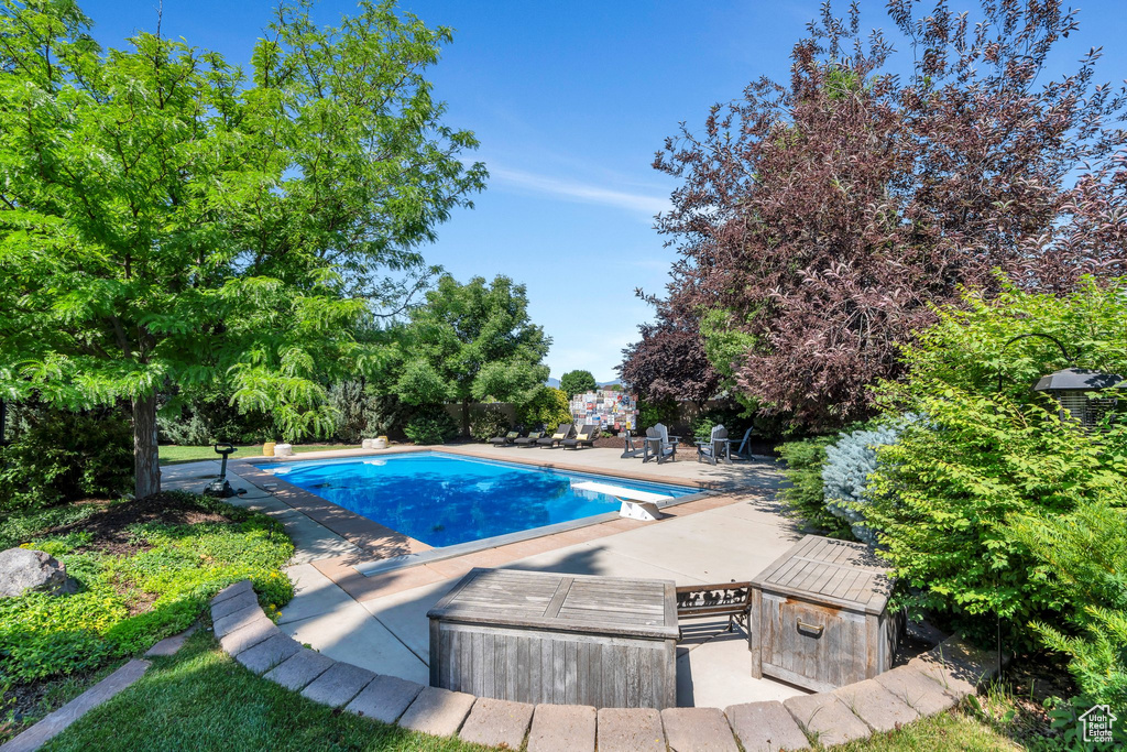 Swimming pool with a diving board, a patio area, and view of scattered trees