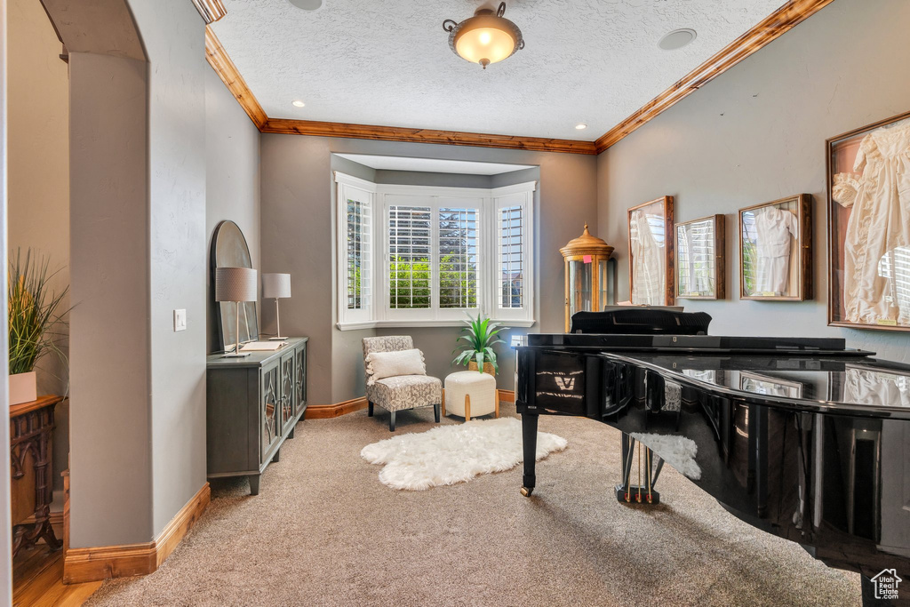 Sitting room with crown molding, carpet flooring, and a textured ceiling