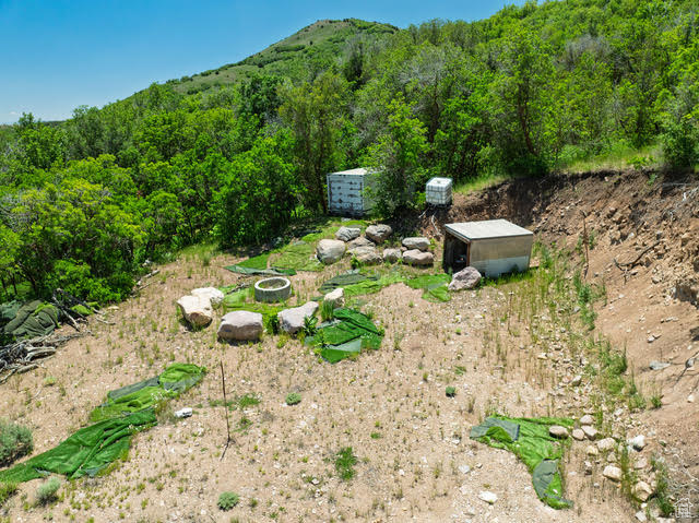 View of yard with a mountain view and a forest view