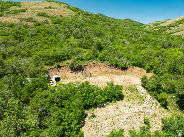 Mountain view featuring a forest