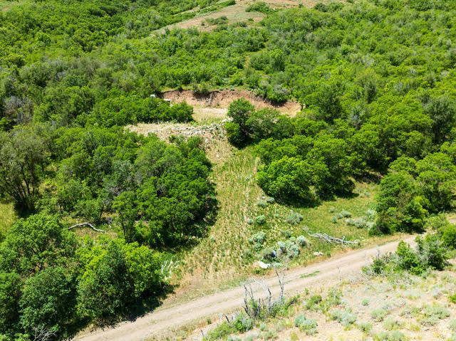 Bird's eye view of a heavily wooded area