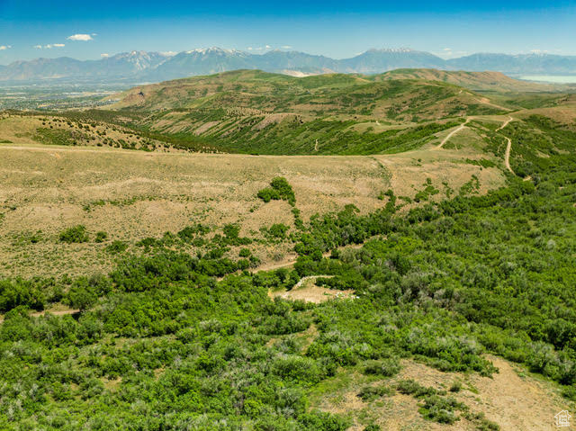 View of mountain background