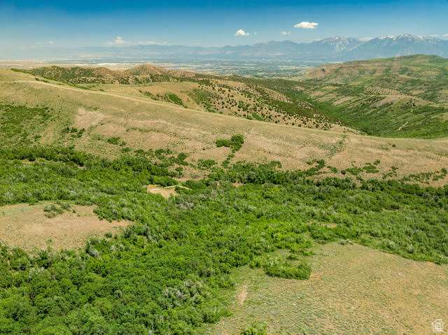 Aerial view of a mountain backdrop