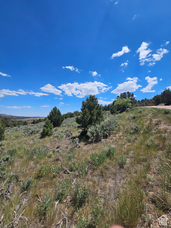 View of undeveloped land