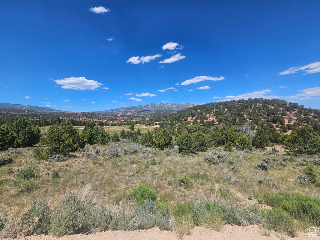 View of mountain background