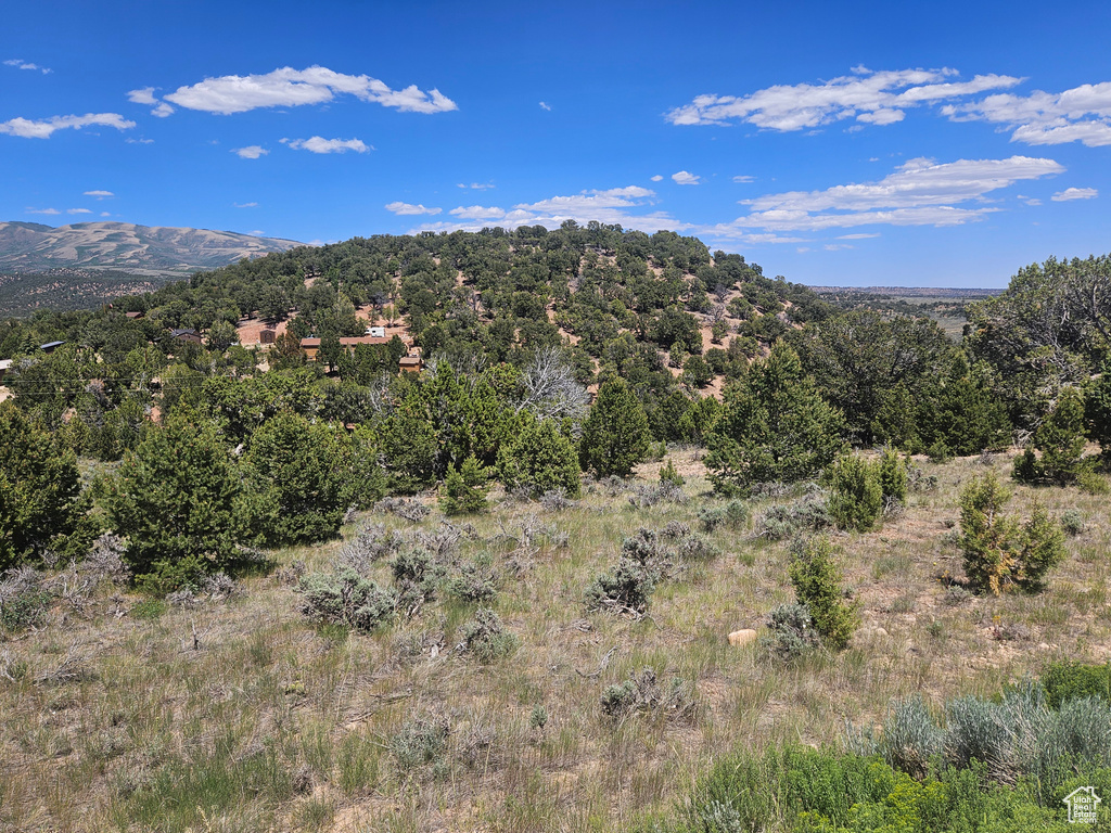 Mountain view featuring a heavily wooded area