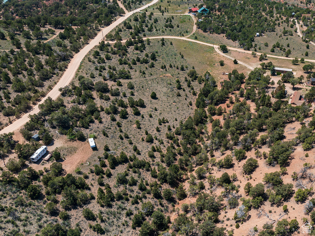 Bird\'s eye view