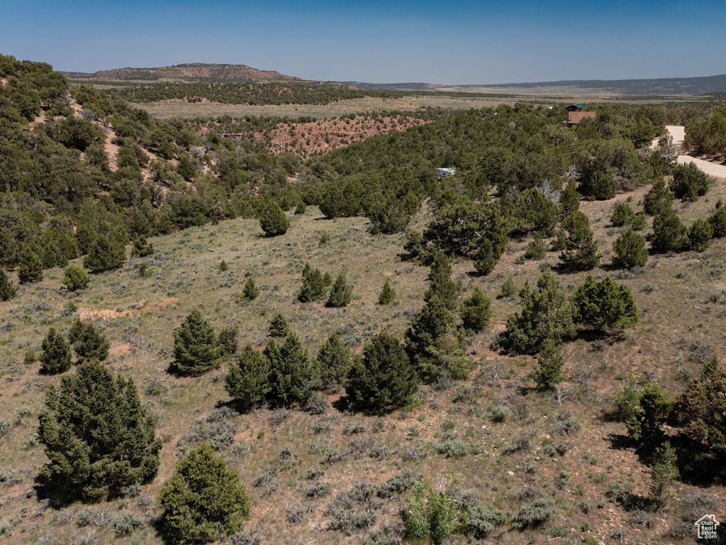 View of mountain background