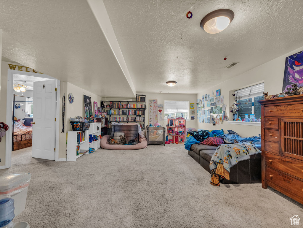 Carpeted living room featuring a textured ceiling